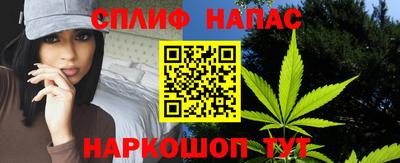 крисы Краснознаменск
