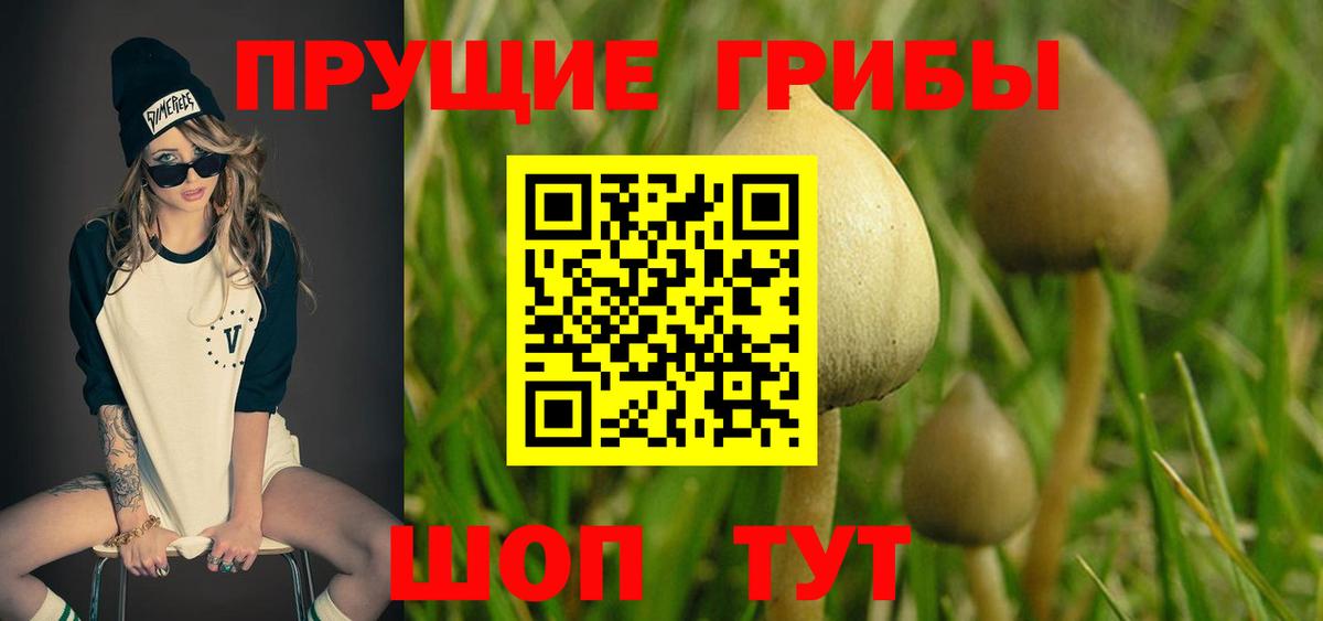 Псилоцибиновые грибы мицелий Ирбит