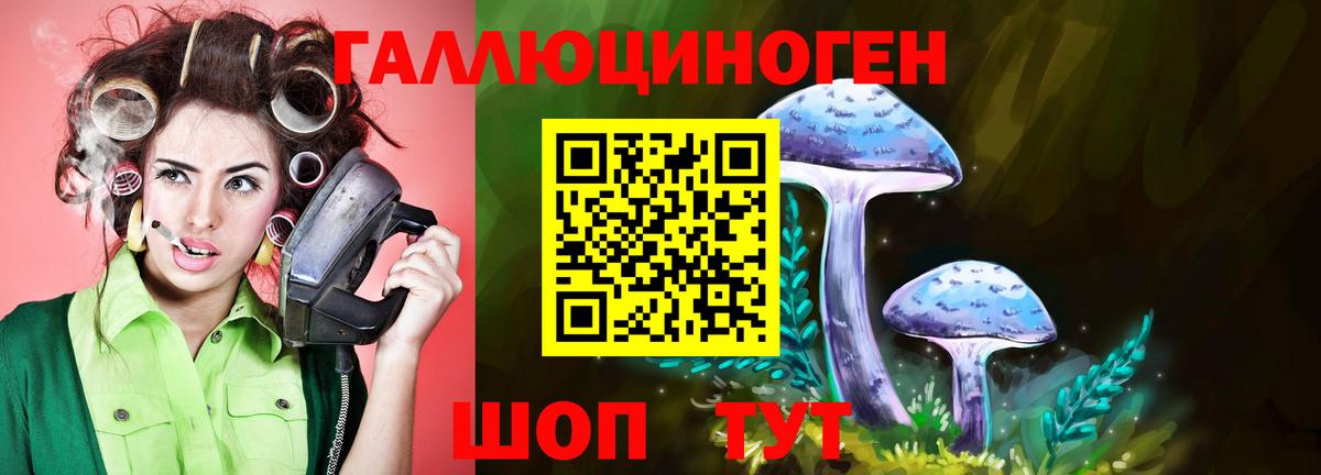 Псилоцибиновые грибы MAGIC MUSHROOMS  Вход с VPN  Ирбит 